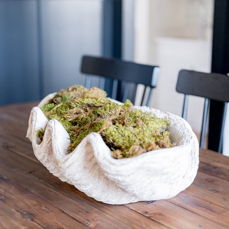 Large magnesia clam shell as centerpiece on wood table filled with moss